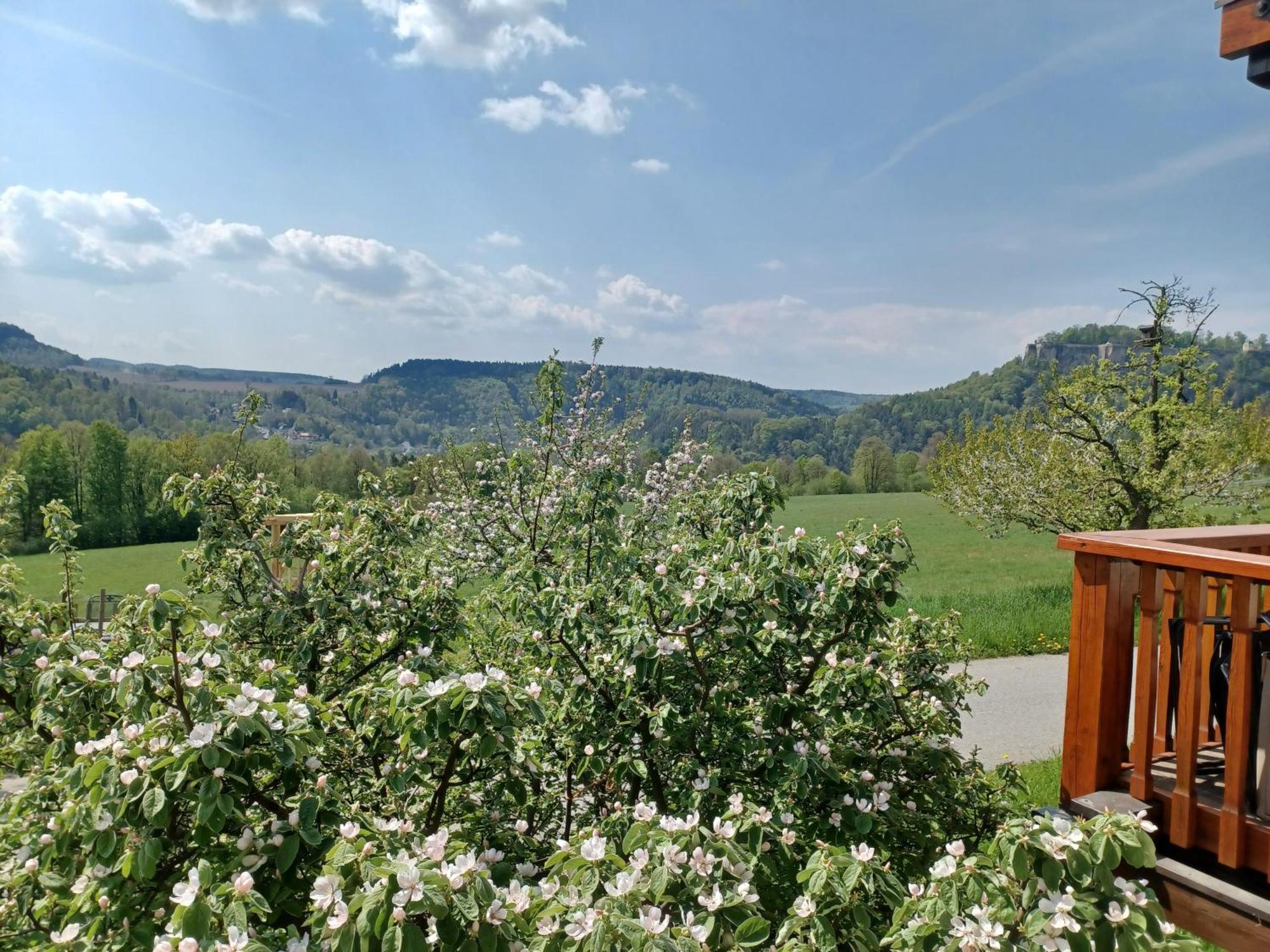 Ferienhof Schoenfelder Königstein Exterior foto